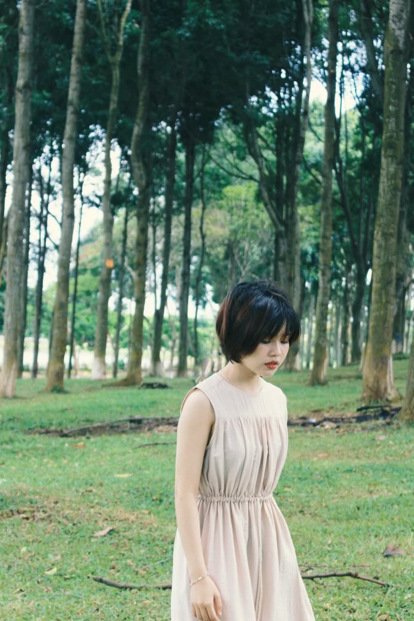 Hoi An Dress